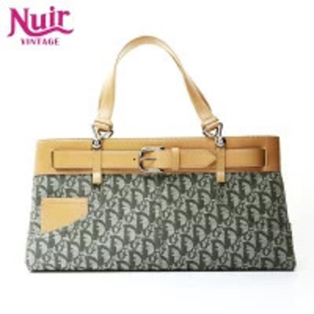 Christian Dior Trotter Canvas Handbag Green